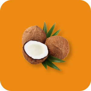 AIWO C8 MCT Oil 250ml